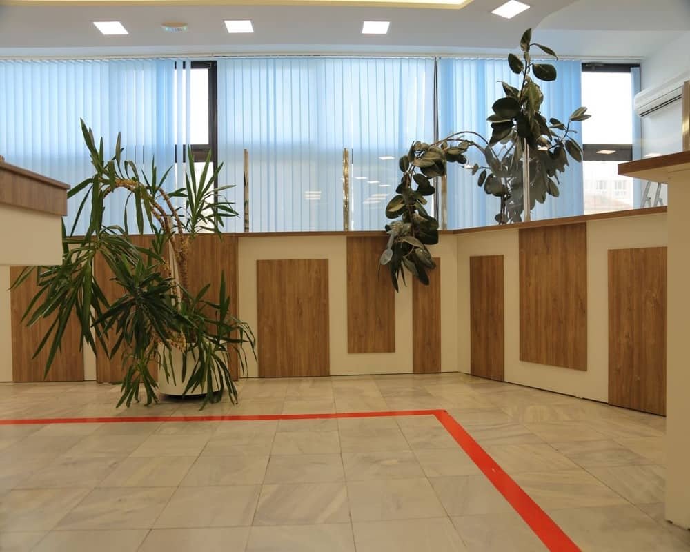 House and Apartment Renovation Projects